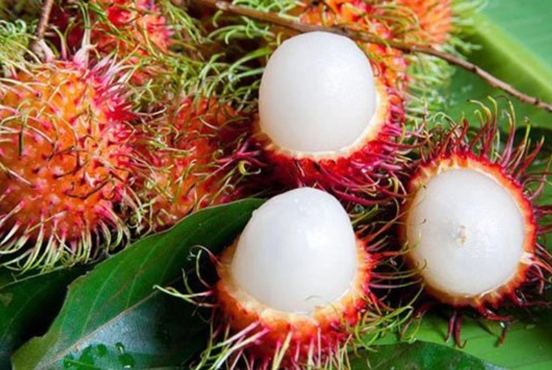 Bà bầu ăn chôm chôm được không? Một số lưu ý mẹ bầu cần biết 2