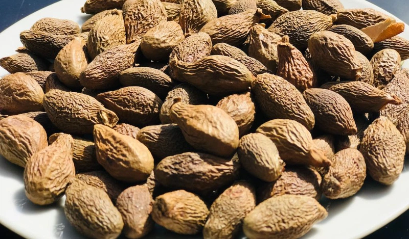 Bà bầu ăn hạt ươi được không? Cách sử dụng và lưu ý cho phụ nữ mang thai 1