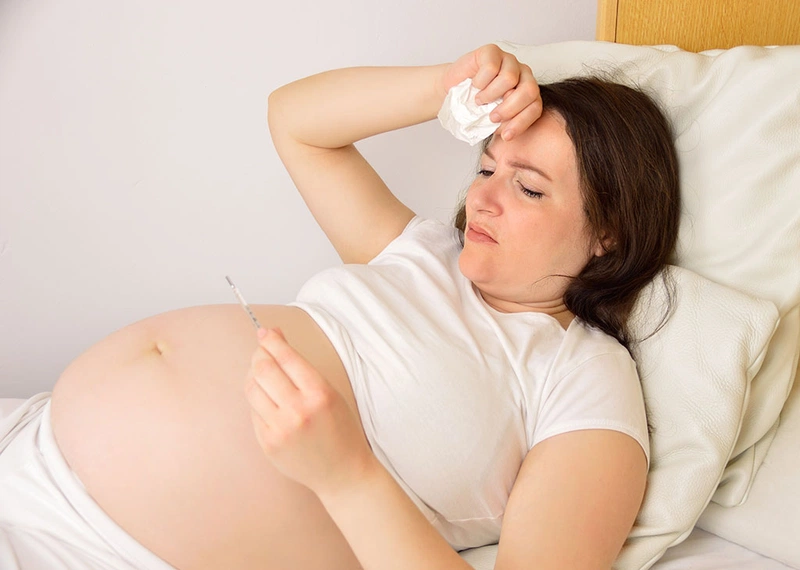 Bầu ăn rau diếp cá được không? Tác dụng của rau diếp cá đối với bà bầu 2
