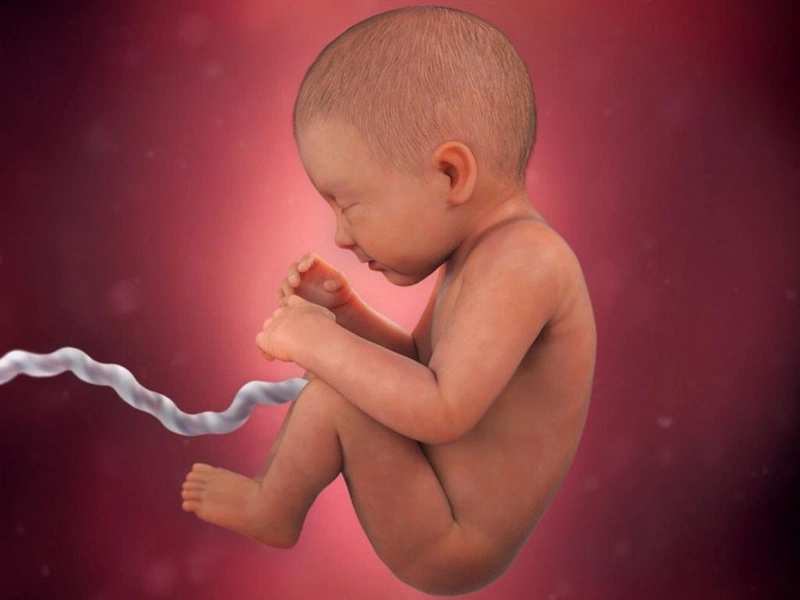 Bà bầu bị ho mọc tóc tháng thứ mấy? Triệu chứng và cách điều trị 3
