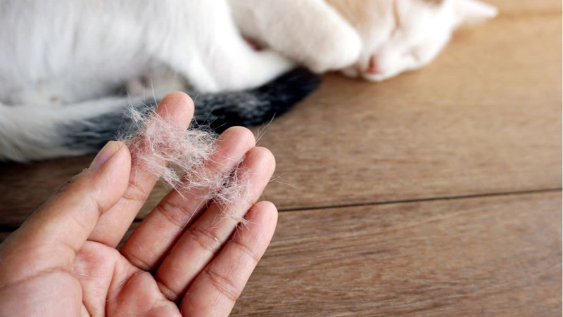 Bà bầu bị ngứa mắt phải làm sao? 3