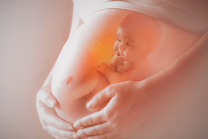 Bà bầu có ăn được cá nục khô không? Lợi ích của cá nục khô đối với bà bầu 2