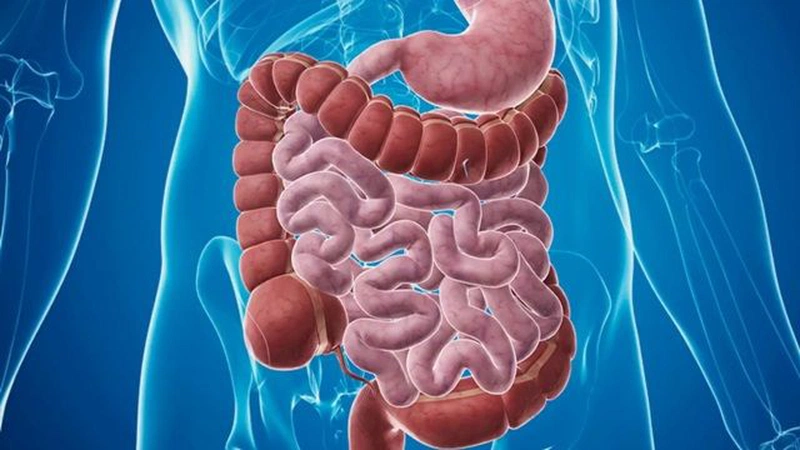 Bà bầu có nên uống nước yến sào không? Cách dùng nước yến sào đúng cho mẹ bầu 2