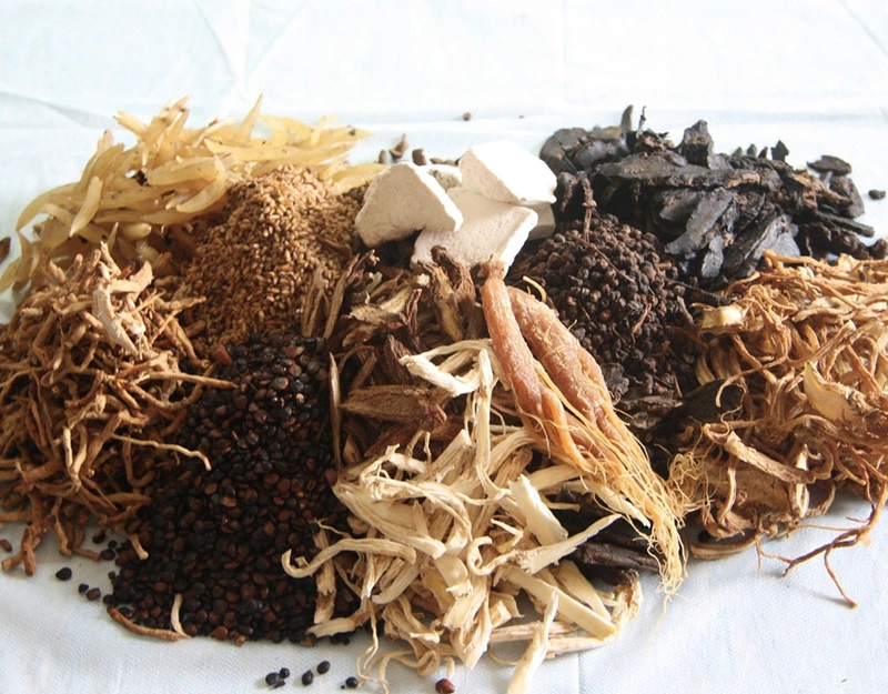 Bài thuốc Đông y chữa xuất tinh sớm có tốt như bạn nghĩ? 3