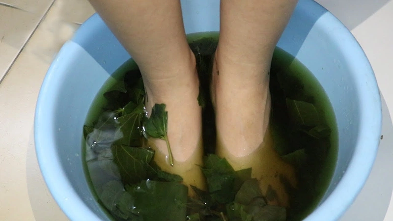 Bài thuốc trị bệnh gout hiệu quả từ thiên nhiên 3