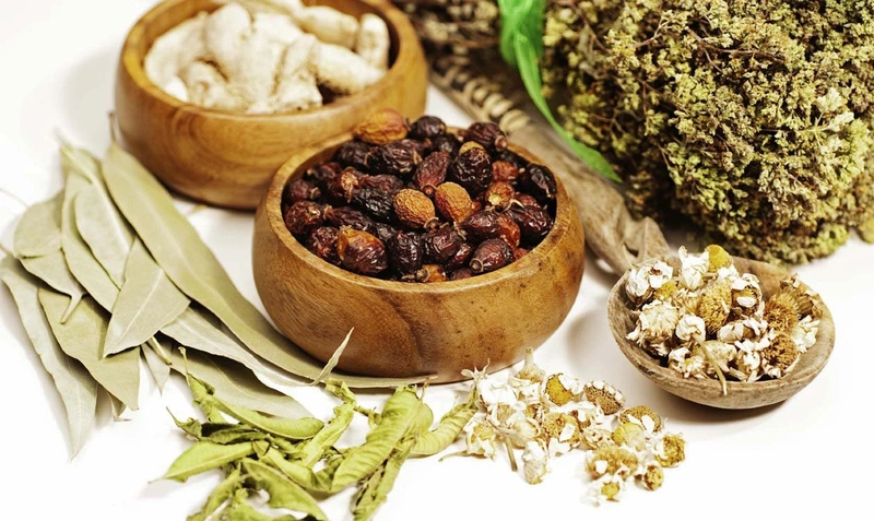 Bài thuốc trị chứng rối loạn cương dương hiệu quả 3