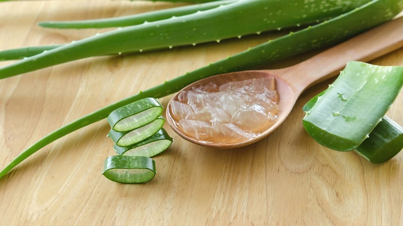 Dùng nha đam kết hợp với sữa chua Hy Lạp làm mặt nạ