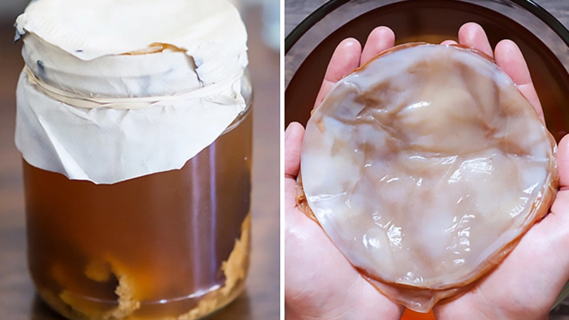 Bạn đã biết các dấu hiệu Kombucha bị hư chưa? 2