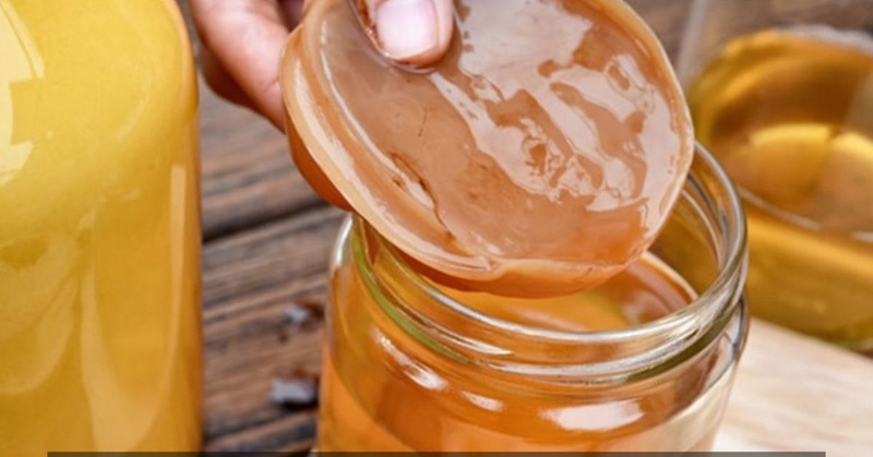 Bạn đã biết cách làm kombucha trái cây để chăm sóc sức khỏe chưa? 1