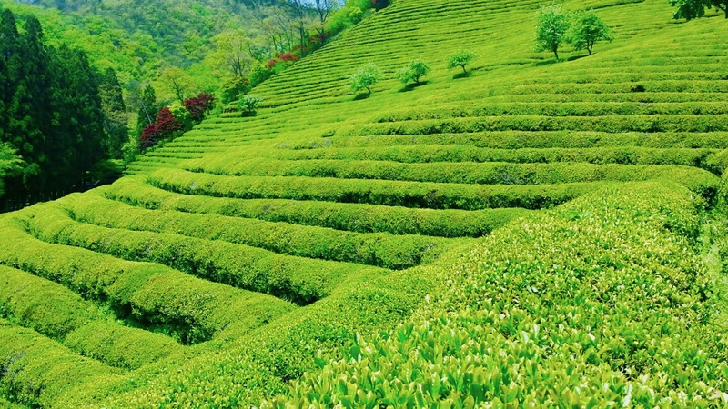 Bạn đã biết những loại mặt nạ ngủ nào tốt và hot nhất hiện nay ? 2