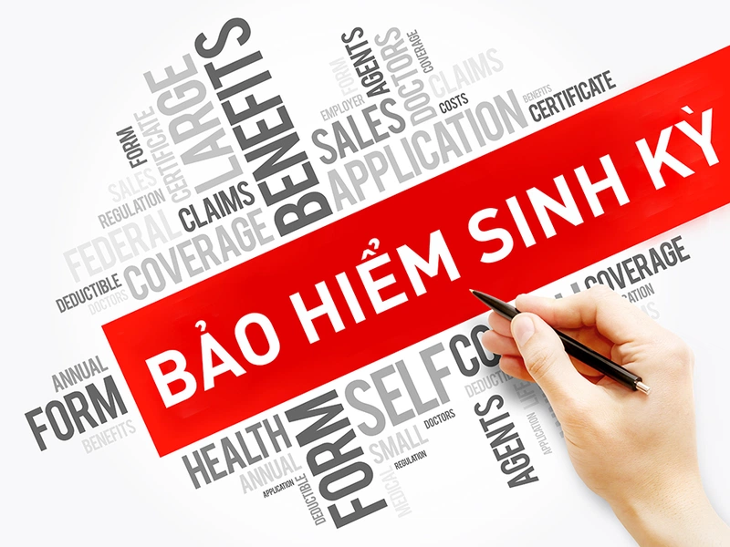 Tìm hiểu về bảo hiểm sinh kỳ 