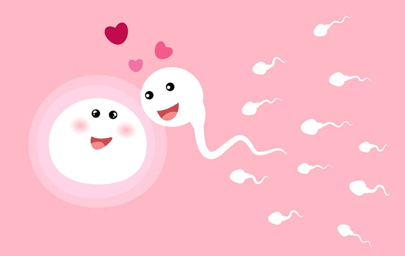 Bảo tồn khả năng sinh sản đối với phụ nữ mắc ung thư3