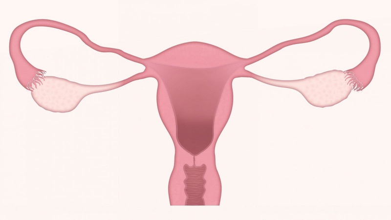 Bảo vệ khả năng sinh sản ở bệnh nhi nữ mắc ung thư2