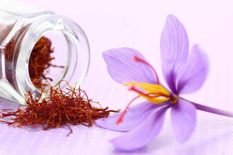 Cách uống nhuỵ hoa nghệ tây để tăng cân đúng cách không phải ai cũng biết