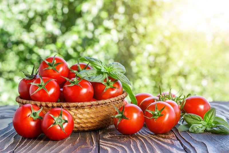 Bầu ăn cà chua được không? Những điều mẹ bầu cần lưu ý khi ăn cà chua 2