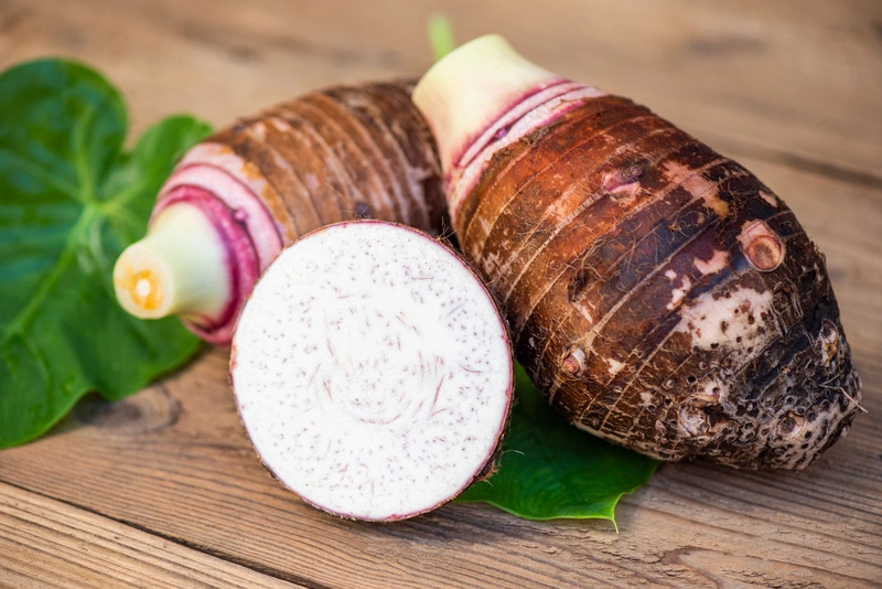 Các câu hỏi thường gặp
