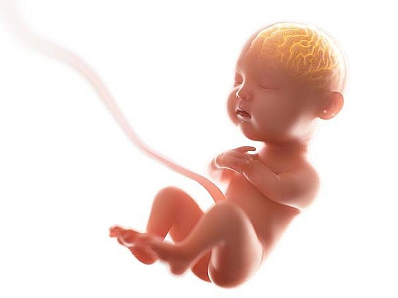 Bầu ăn mắm nêm được không? Những lợi ích và tác hại khi mẹ bầu ăn mắm nêm 2