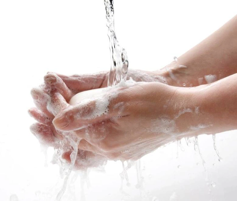 Bé bị chó cắn có sao không? Cách sơ cứu khi trẻ bị chó cắn 2