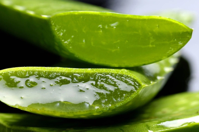 Bé bị muỗi đốt sưng to bôi gì nhanh khỏi nhất?