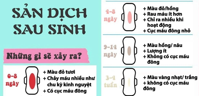 bế sản dịch uống thuốc gì 2