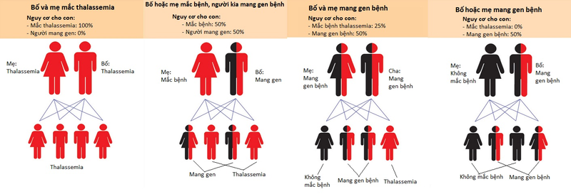 Bệnh thiếu máu thalassemia - nguyên nhân và biểu hiện 2