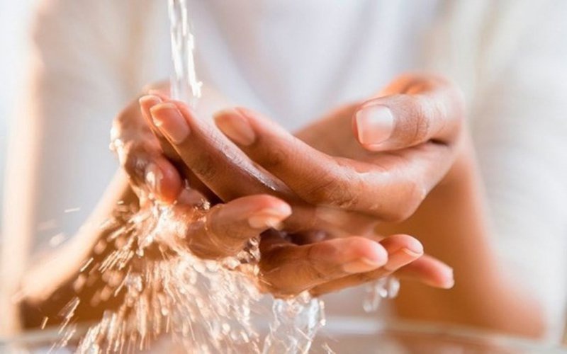 Bị chó cắn và cách sơ cứu chó cắn tại nhà 1
