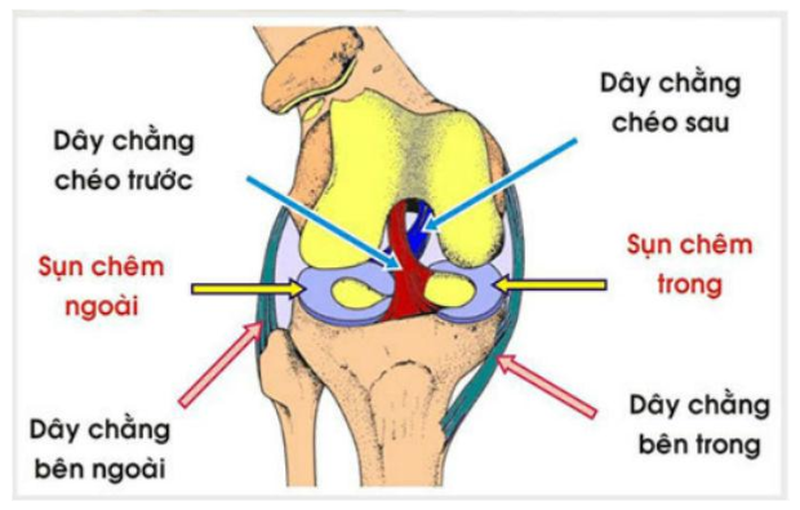 Theo các bác sĩ chuyên khoa xương khớp, đứt dây chằng chéo trước không thể tự lành