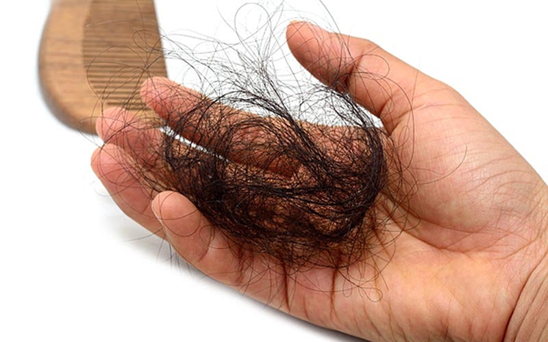 Bí quyết sử dụng cỏ mần trầu trị rụng tóc1