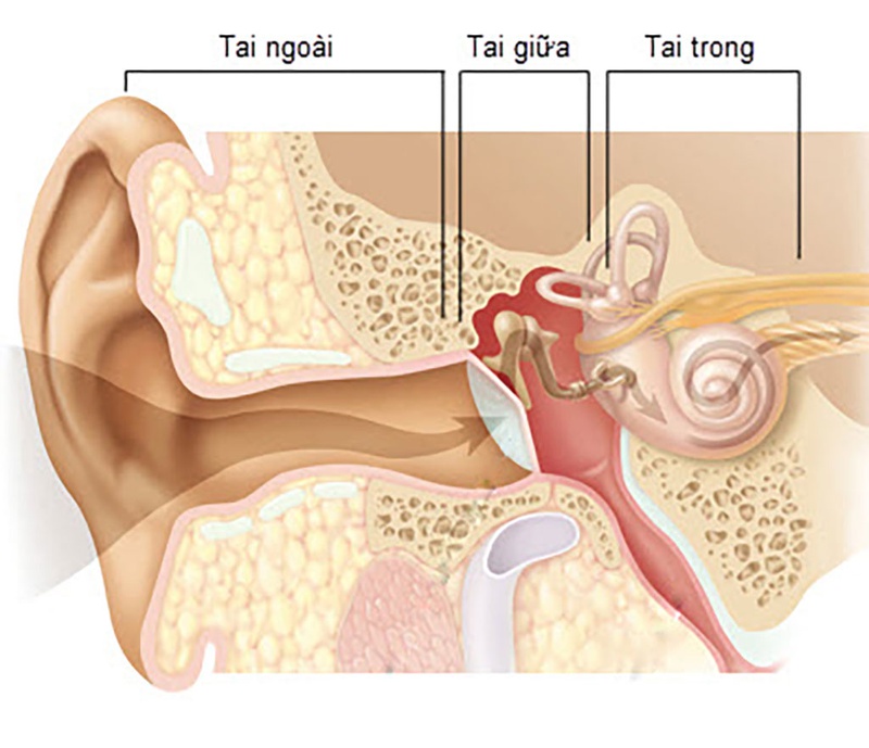 Biến chứng viêm tai xương chũm có nguy hiểm không?