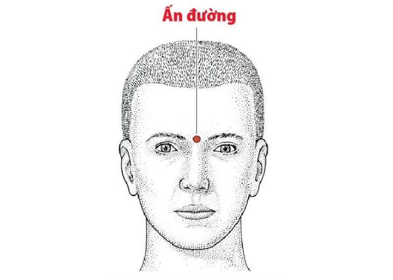 Huyệt Ấn Đường: Vị trí, cách bấm và tác dụng chữa bệnh