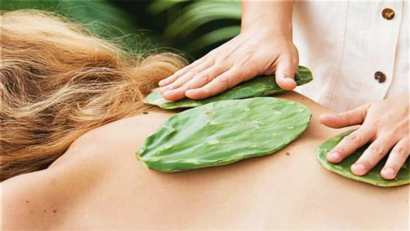Bỏ túi 5 cách điều trị gai cột sống hiệu quả bằng cây thuốc trong vườn 3