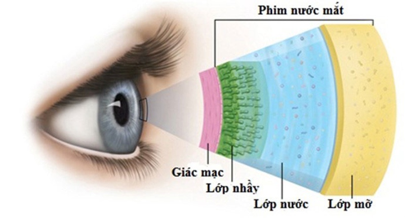 Bỏ túi ngay một số mẹo chữa bệnh khô mắt hiệu quả 2