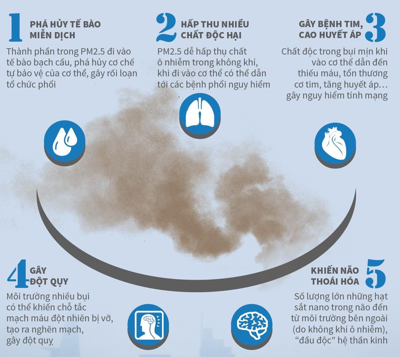 Bụi mịn PM 2.5 là gì? Những tác hại mà chúng mang lại 4