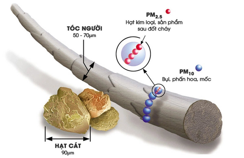 Bụi trong không khí: Bụi càng mịn, tác hại càng lớn 2