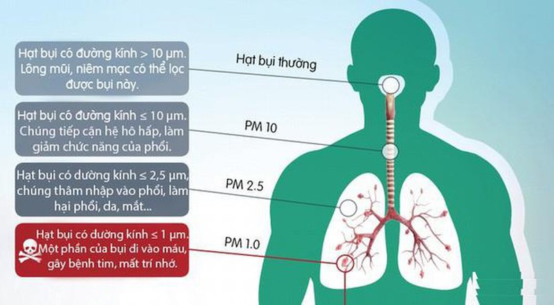 Bụi trong không khí: Bụi càng mịn, tác hại càng lớn 3