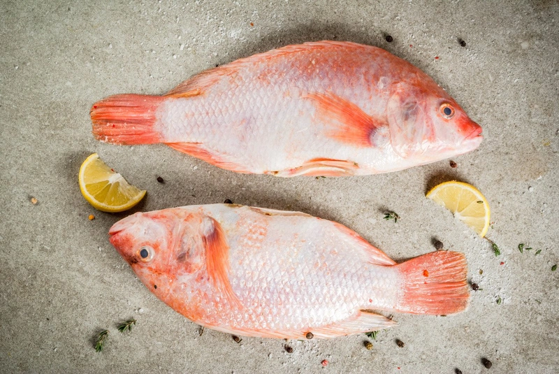 Cá diêu hồng: Đặc điểm, giá trị dinh dưỡng và một số món ăn ngon dễ nấu
