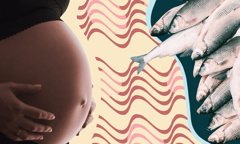 Cá ngừ bầu ăn được không? Những điều mẹ bầu cần lưu ý khi ăn cá ngừ 1