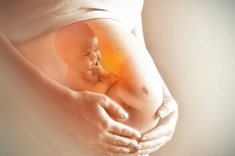 Cá ngừ bầu ăn được không? Những điều mẹ bầu cần lưu ý khi ăn cá ngừ 2