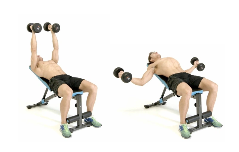 Các bài tập vai với tạ đơn hiệu quả cho Gymer3