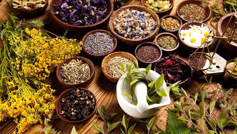Các bài thuốc đông y trị viêm da cơ địa3