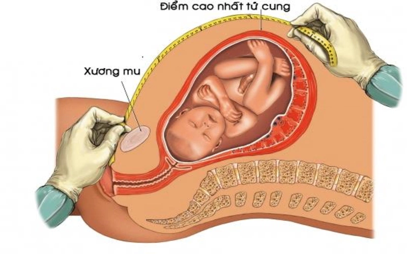 Các cách tính tuổi thai chính xác nhất dành cho mẹ bầu 3
