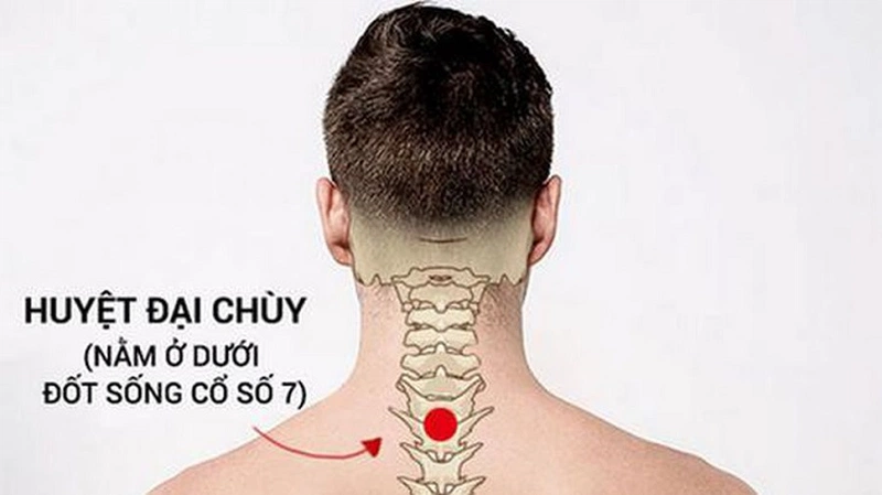 Các huyệt đạo trên cơ thể - Bấm đúng huyệt chữa bách bệnh! 6