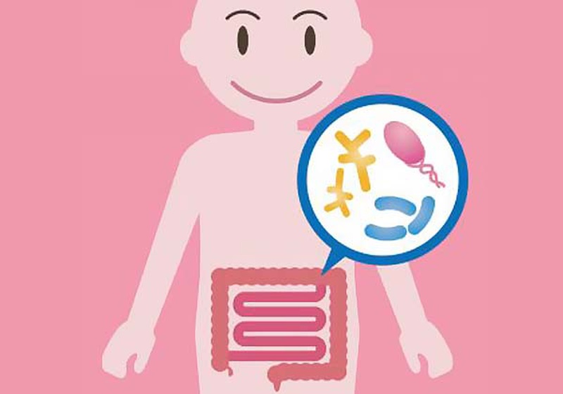 Trả lời câu hỏi: Bào tử lợi khuẩn có lợi cho sức khỏe không? 2