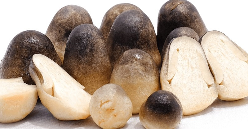 Các loại nấm ăn được chứa nhiều vitamin tốt cho sức khỏe 1