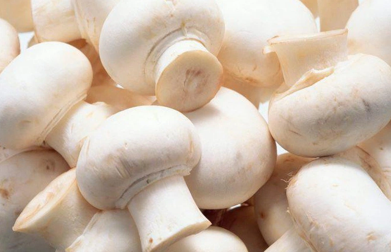 Các loại nấm ăn được chứa nhiều vitamin tốt cho sức khỏe 2