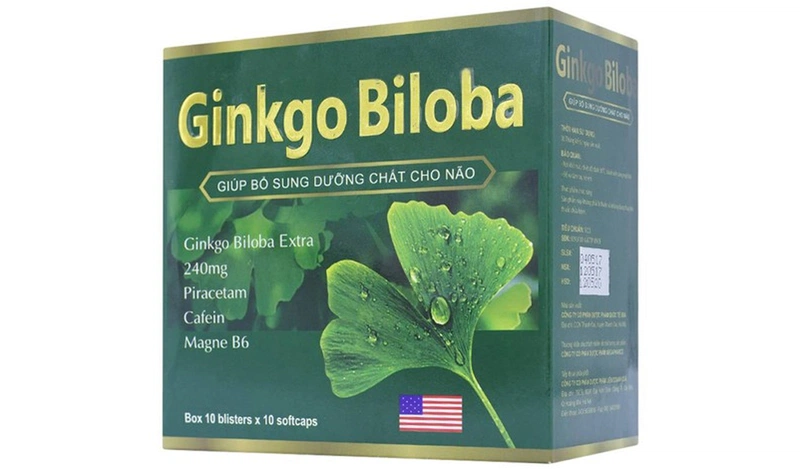 Ginkgo Biloba sẽ giúp tăng cường cung cấp oxy và dưỡng chất cho não cũng như toàn bộ cơ thể