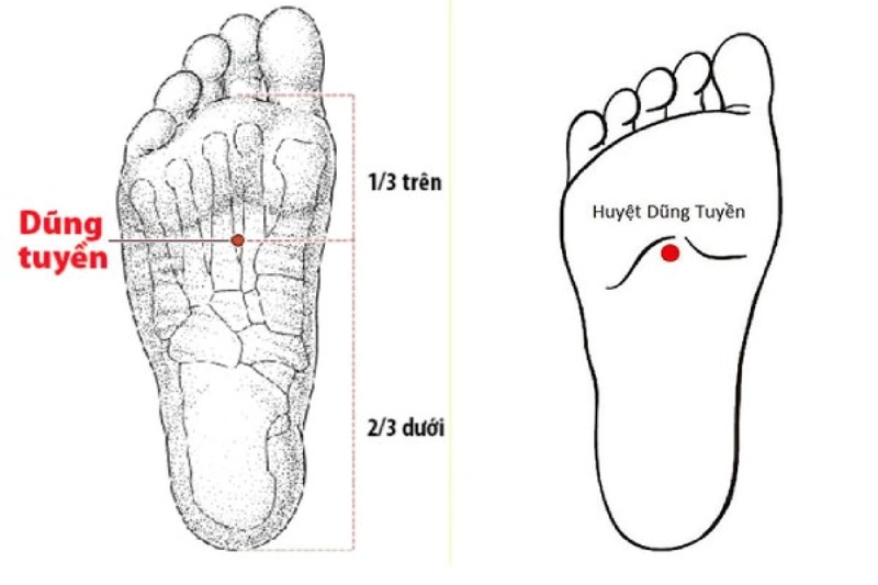 Cách bấm huyệt chữa ho an toàn và hiệu quả2