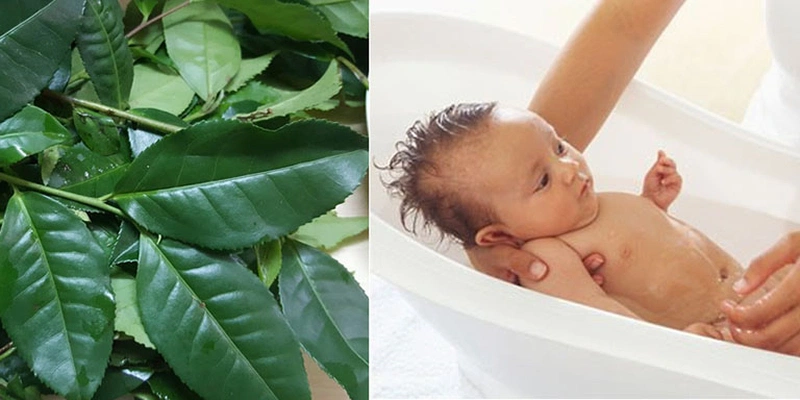 Tắm lá giúp rửa trôi các vết sưng đỏ, làm dịu vết hăm