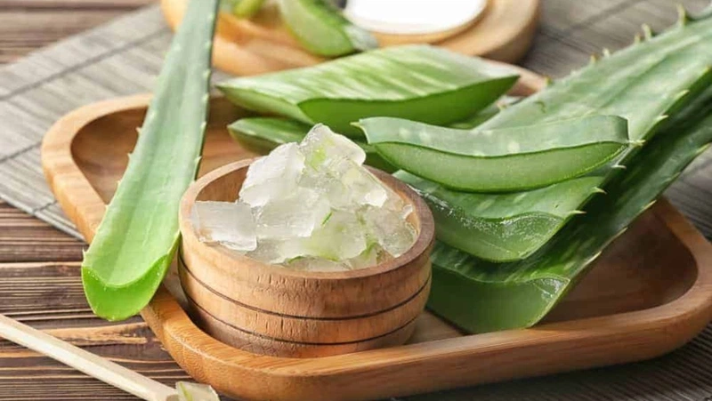 Cách chữa viêm đường tiết niệu tại nhà bằng nha đam