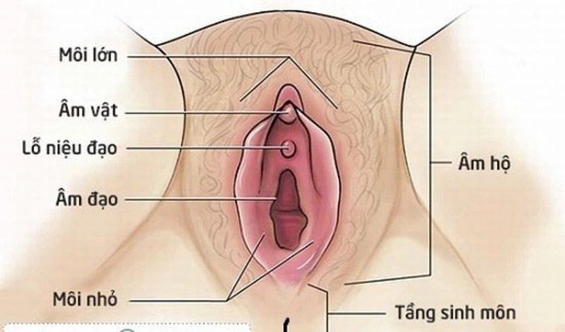 Cách điều trị sẹo lồi tầng sinh môn 1